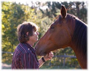 Equine Experiencial Learning