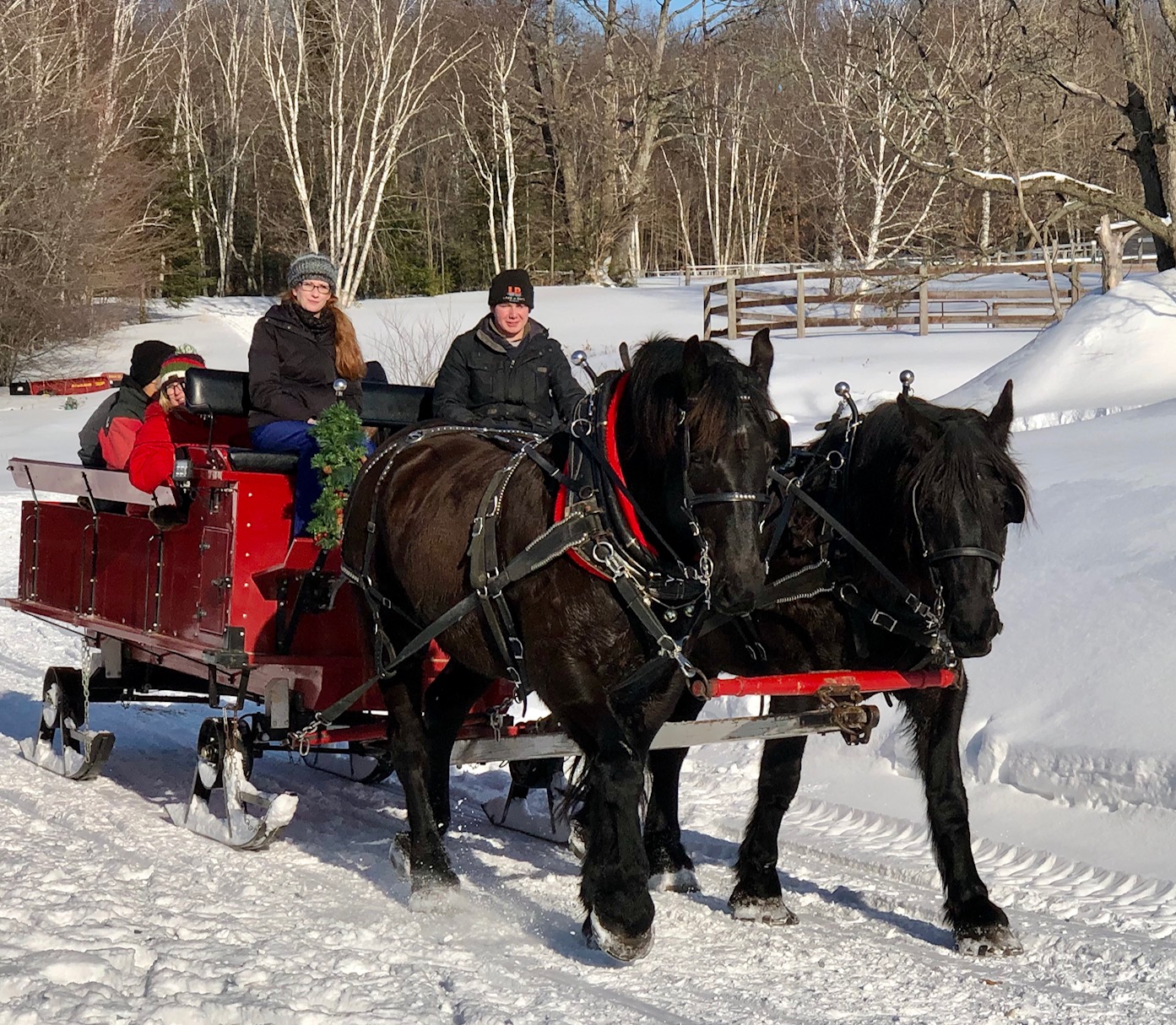 sleigh-ride