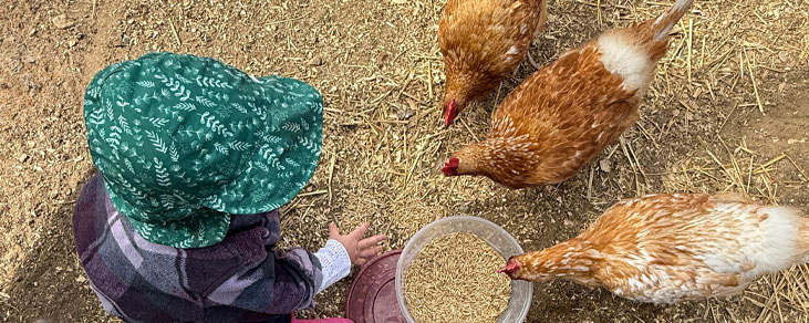 Farm-Friends-Mega-Menu