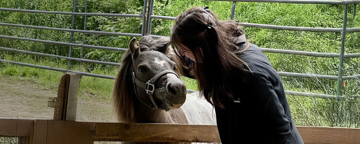 Horse-Farm-Tour-Menu