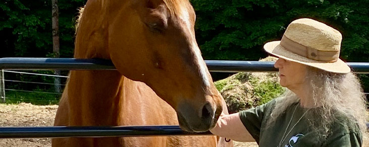 Horses-Natural-Connection