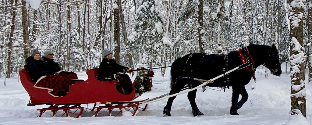 IMG_8425-2-to-one-ratio