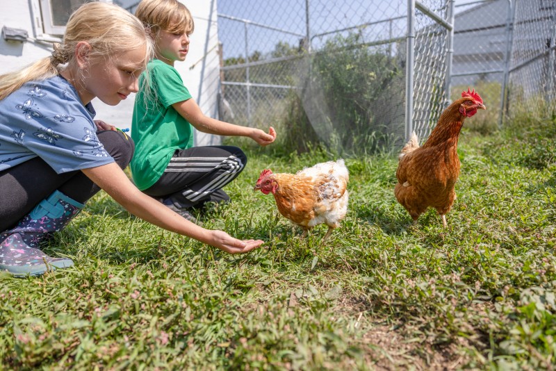 2024-08-15_Victory-Valley-Farms-9736