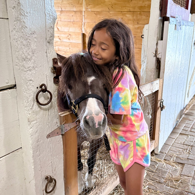 Farm-Friends-Pony