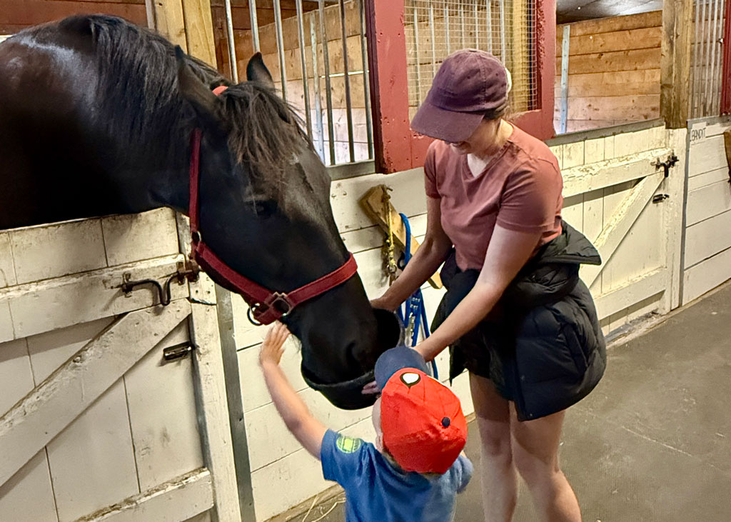 Horse-Farm-Tour-Activities